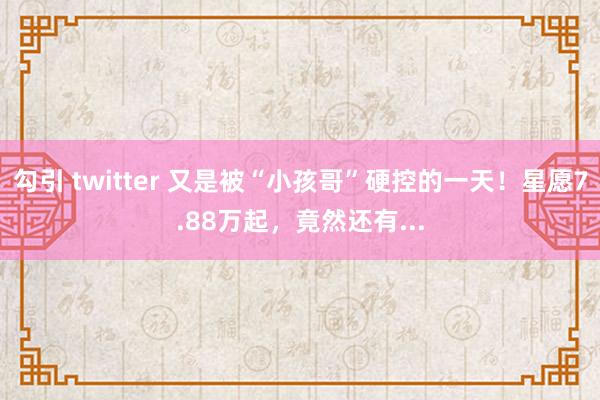 勾引 twitter 又是被“小孩哥”硬控的一天！星愿7.88万起，竟然还有...