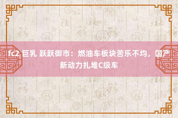 fc2 巨乳 跃跃御市：燃油车板块苦乐不均，国产新动力扎堆C级车