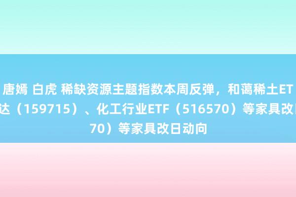 唐嫣 白虎 稀缺资源主题指数本周反弹，和蔼稀土ETF易方达（159715）、化工行业ETF（516570）等家具改日动向