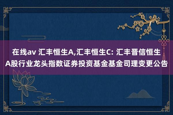 在线av 汇丰恒生A,汇丰恒生C: 汇丰晋信恒生A股行业龙头指数证券投资基金基金司理变更公告