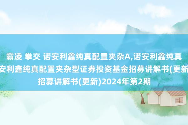 霸凌 拳交 诺安利鑫纯真配置夹杂A,诺安利鑫纯真配置夹杂C: 诺安利鑫纯真配置夹杂型证券投资基金招募讲解书(更新)2024年第2期