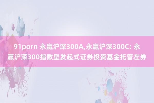 91porn 永赢沪深300A,永赢沪深300C: 永赢沪深300指数型发起式证券投资基金托管左券