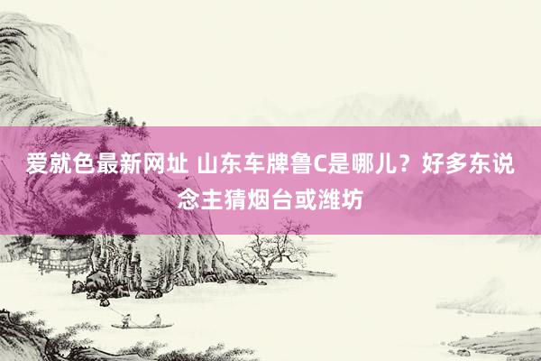 爱就色最新网址 山东车牌鲁C是哪儿？好多东说念主猜烟台或潍坊