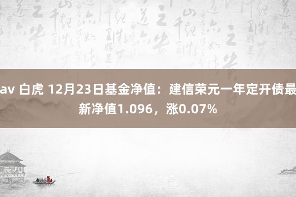 av 白虎 12月23日基金净值：建信荣元一年定开债最新净值1.096，涨0.07%