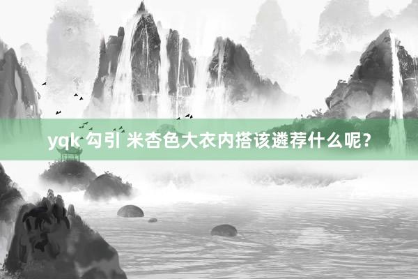 yqk 勾引 米杏色大衣内搭该遴荐什么呢？