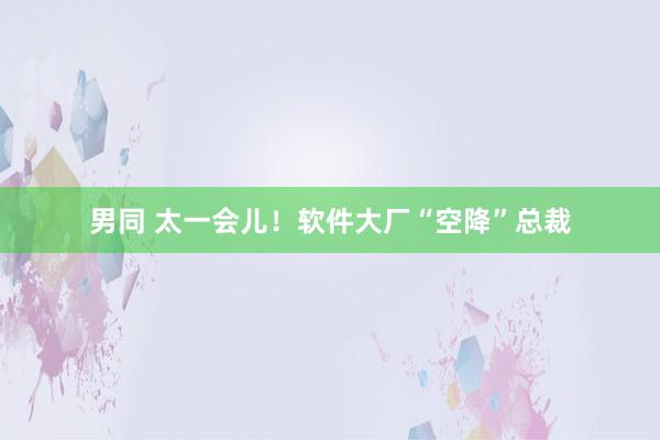 男同 太一会儿！软件大厂“空降”总裁