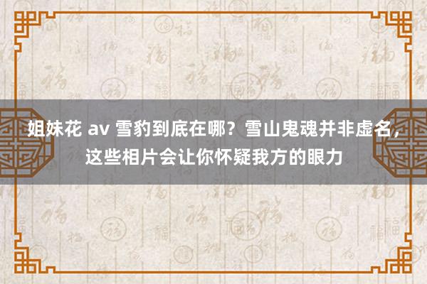 姐妹花 av 雪豹到底在哪？雪山鬼魂并非虚名，这些相片会让你怀疑我方的眼力