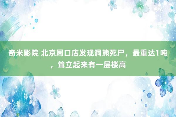 奇米影院 北京周口店发现洞熊死尸，最重达1吨，耸立起来有一层楼高