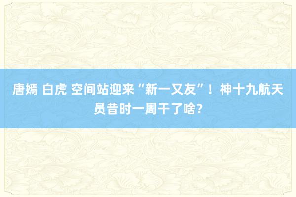 唐嫣 白虎 空间站迎来“新一又友”！神十九航天员昔时一周干了啥？