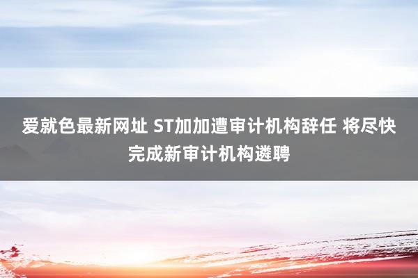 爱就色最新网址 ST加加遭审计机构辞任 将尽快完成新审计机构遴聘