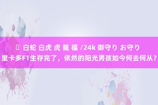 ✨白蛇 白虎 虎 龍 福 /24k 御守り お守り 里卡多F1生存完了，依然的阳光男孩如今何去何从？