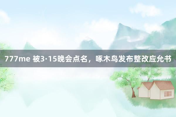 777me 被3·15晚会点名，啄木鸟发布整改应允书