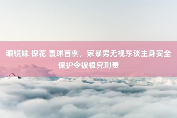 眼镜妹 探花 寰球首例，家暴男无视东谈主身安全保护令被根究刑责
