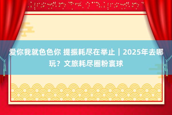 爱你我就色色你 提振耗尽在举止｜2025年去哪玩？文旅耗尽圈粉寰球