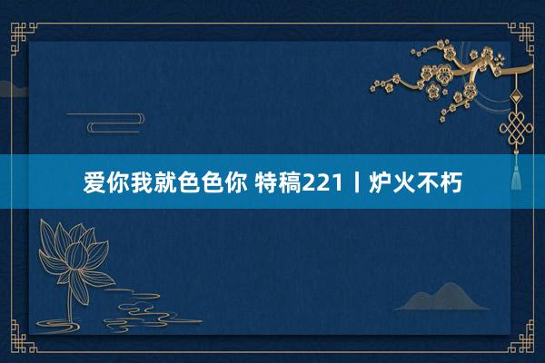 爱你我就色色你 特稿221丨炉火不朽