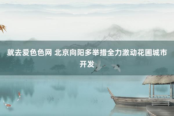 就去爱色色网 北京向阳多举措全力激动花圃城市开发