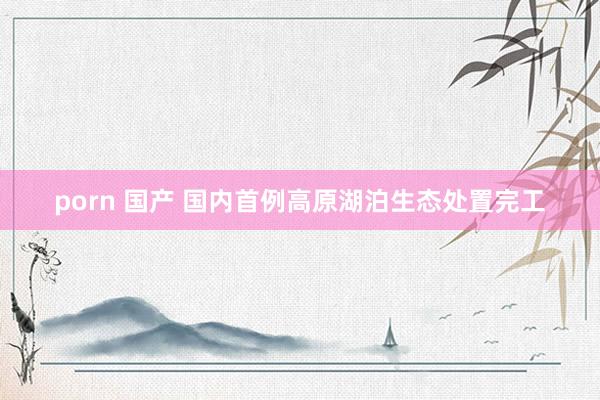 porn 国产 国内首例高原湖泊生态处置完工