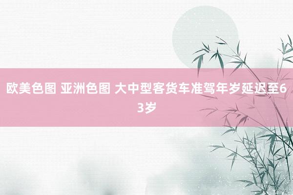 欧美色图 亚洲色图 大中型客货车准驾年岁延迟至63岁