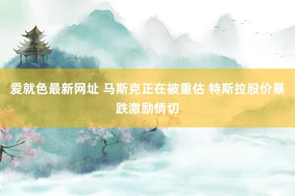 爱就色最新网址 马斯克正在被重估 特斯拉股价暴跌激励情切