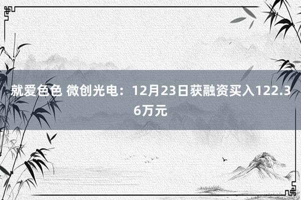 就爱色色 微创光电：12月23日获融资买入122.36万元
