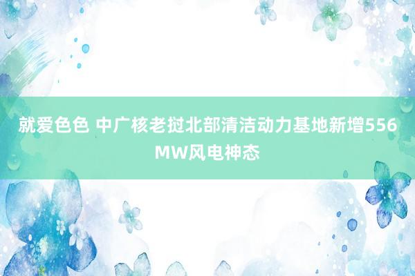 就爱色色 中广核老挝北部清洁动力基地新增556MW风电神态