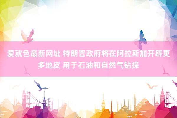爱就色最新网址 特朗普政府将在阿拉斯加开辟更多地皮 用于石油和自然气钻探