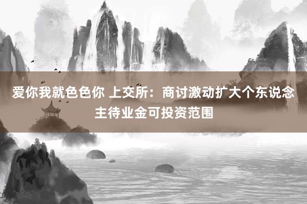 爱你我就色色你 上交所：商讨激动扩大个东说念主待业金可投资范围