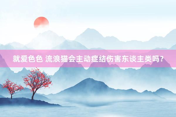 就爱色色 流浪猫会主动症结伤害东谈主类吗？