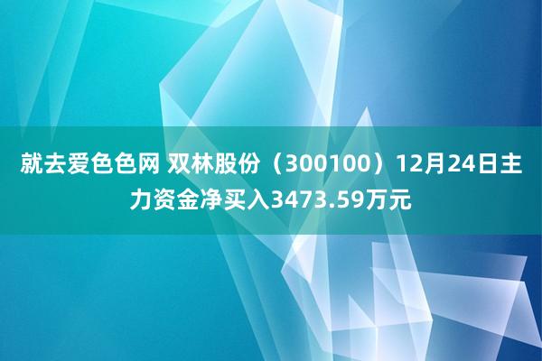 就去爱色色网 双林股份（300100）12月24日主力资金净买入3473.59万元