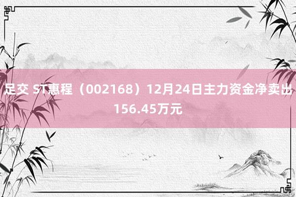 足交 ST惠程（002168）12月24日主力资金净卖出156.45万元