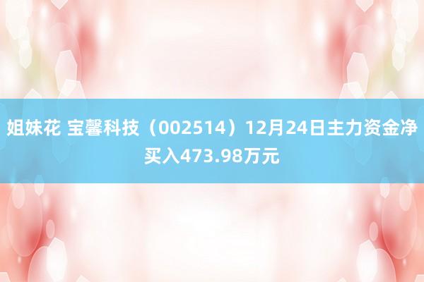 姐妹花 宝馨科技（002514）12月24日主力资金净买入473.98万元