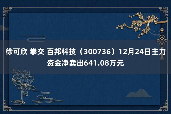 徐可欣 拳交 百邦科技（300736）12月24日主力资金净卖出641.08万元