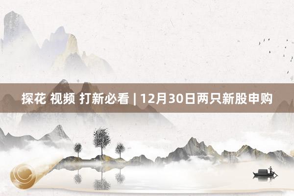 探花 视频 打新必看 | 12月30日两只新股申购