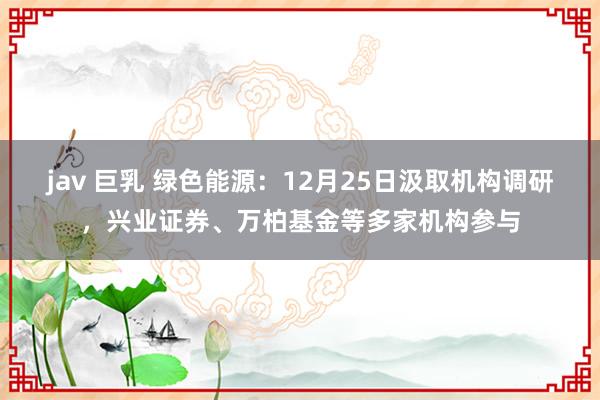 jav 巨乳 绿色能源：12月25日汲取机构调研，兴业证券、万柏基金等多家机构参与