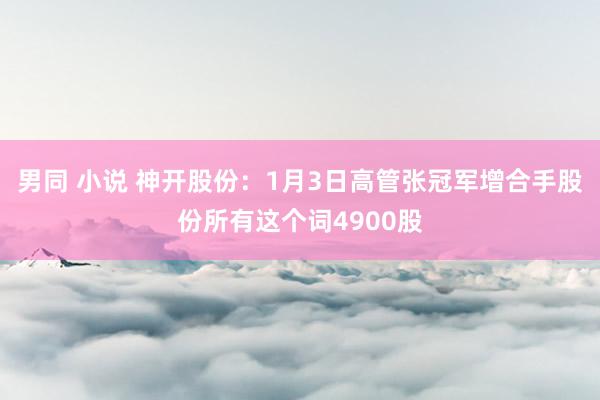 男同 小说 神开股份：1月3日高管张冠军增合手股份所有这个词4900股