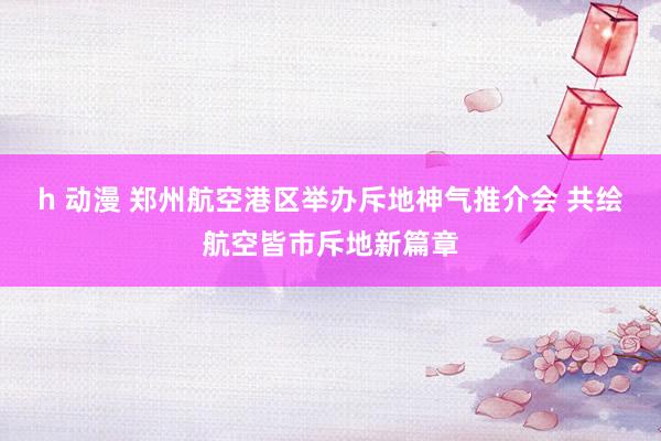 h 动漫 郑州航空港区举办斥地神气推介会 共绘航空皆市斥地新篇章