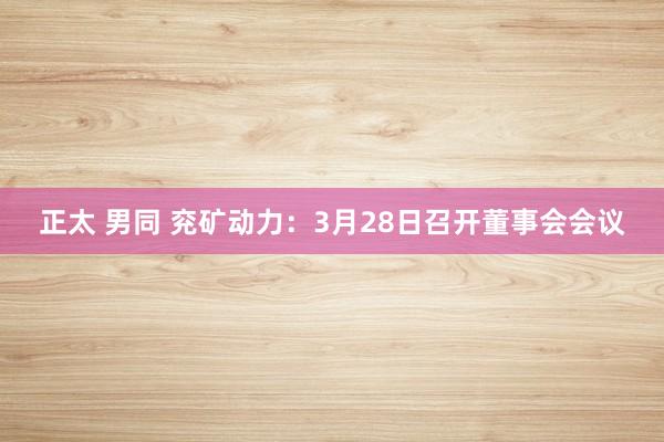 正太 男同 兖矿动力：3月28日召开董事会会议