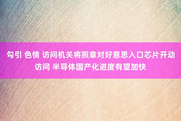 勾引 色情 访问机关将照章对好意思入口芯片开动访问 半导体国产化进度有望加快