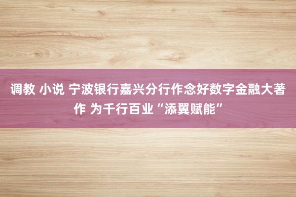 调教 小说 宁波银行嘉兴分行作念好数字金融大著作 为千行百业“添翼赋能”
