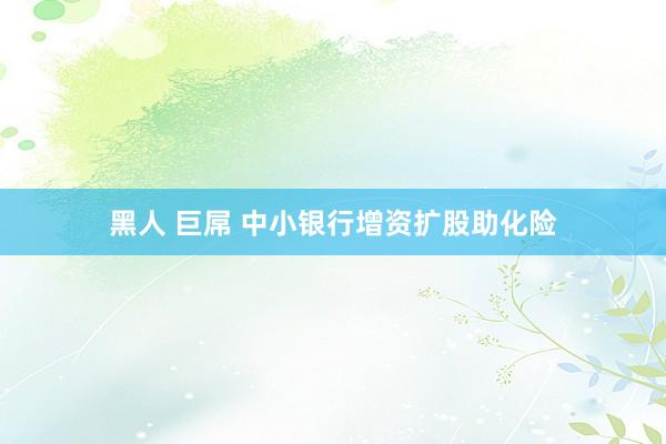 黑人 巨屌 中小银行增资扩股助化险