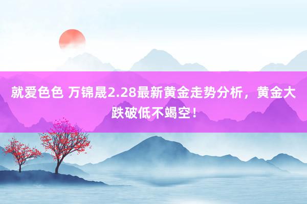 就爱色色 万锦晟2.28最新黄金走势分析，黄金大跌破低不竭空！