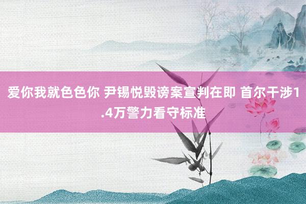 爱你我就色色你 尹锡悦毁谤案宣判在即 首尔干涉1.4万警力看守标准