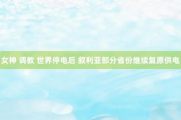 女神 调教 世界停电后 叙利亚部分省份继续复原供电