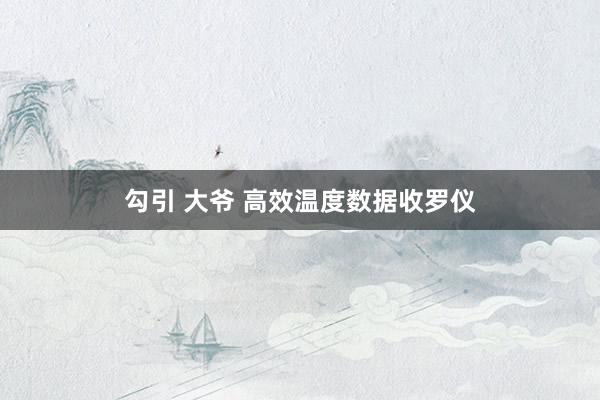 勾引 大爷 高效温度数据收罗仪