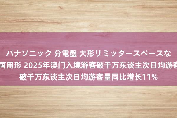 パナソニック 分電盤 大形リミッタースペースなし 露出・半埋込両用形 2025年澳门入境游客破千万东谈主次日均游客量同比增长11%