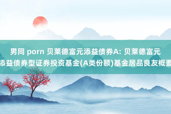 男同 porn 贝莱德富元添益债券A: 贝莱德富元添益债券型证券投资基金(A类份额)基金居品良友概要