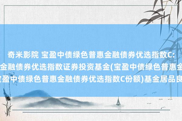 奇米影院 宝盈中债绿色普惠金融债券优选指数C: 宝盈中债绿色普惠主题金融债券优选指数证券投资基金(宝盈中债绿色普惠金融债券优选指数C份额)基金居品良友选录