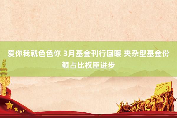 爱你我就色色你 3月基金刊行回暖 夹杂型基金份额占比权臣进步