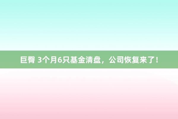 巨臀 3个月6只基金清盘，公司恢复来了！