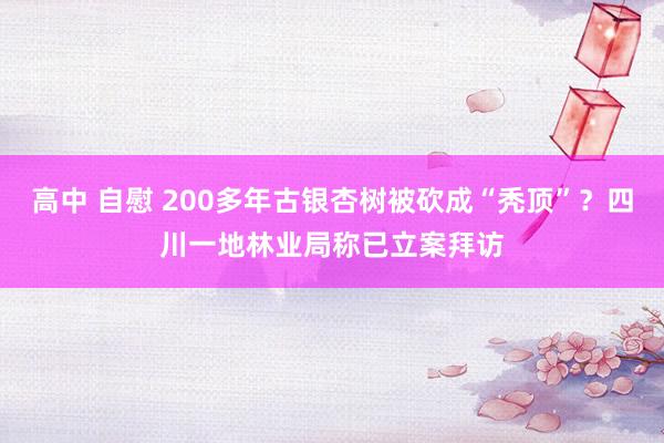 高中 自慰 200多年古银杏树被砍成“秃顶”？四川一地林业局称已立案拜访